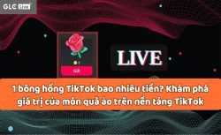 1 bông hồng TikTok bao nhiêu tiền? Khám phá giá trị của món quà ảo trên nền tảng TikTok