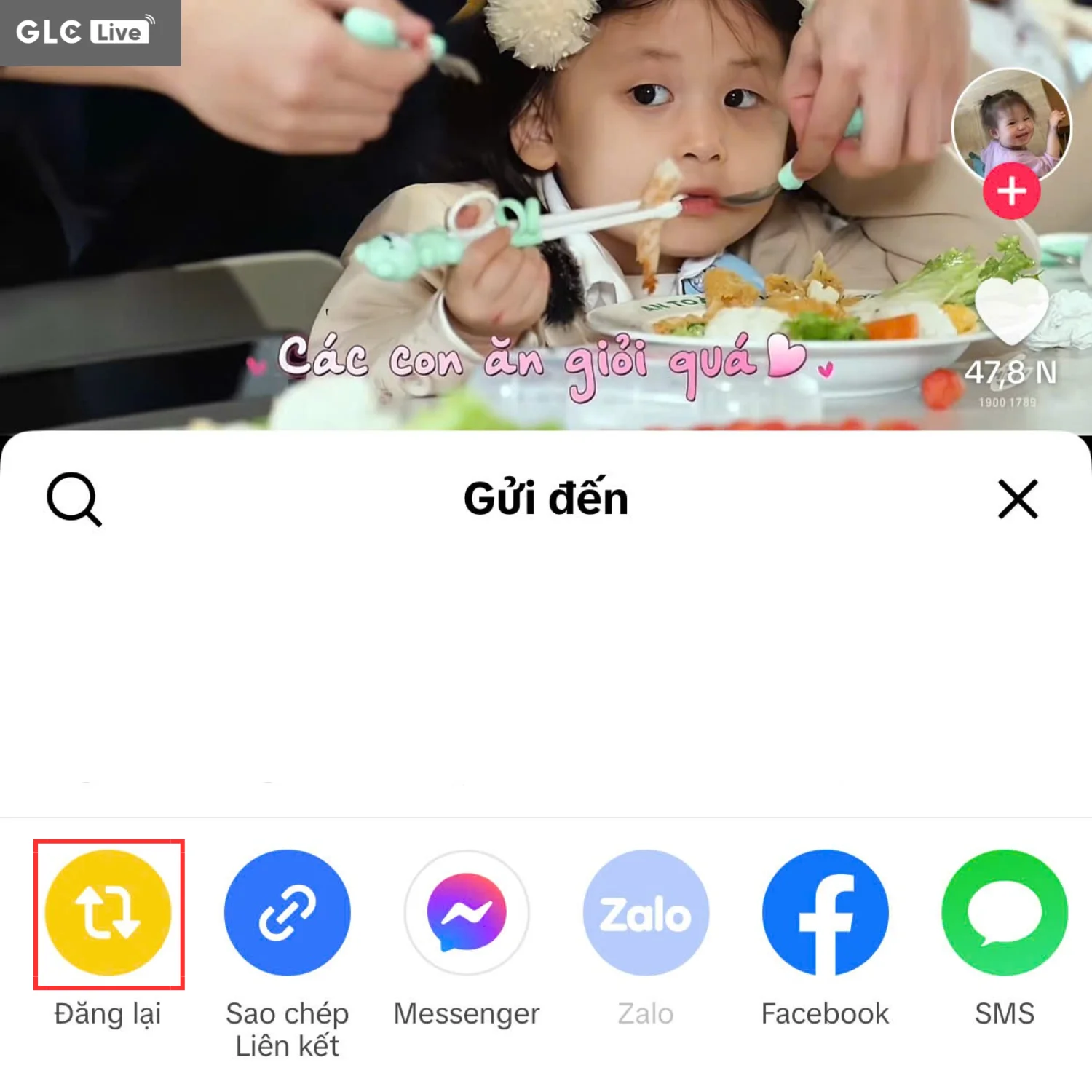 Đăng lại trên TikTok là gì lựa chọn đăng lại