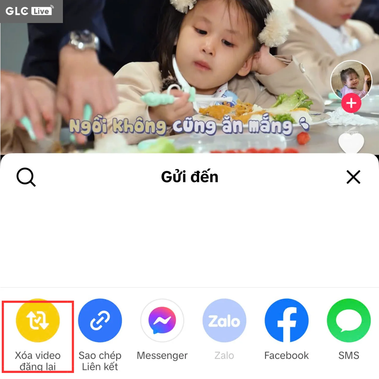 Đăng lại trên TikTok là gì và cách xóa video đăng lại