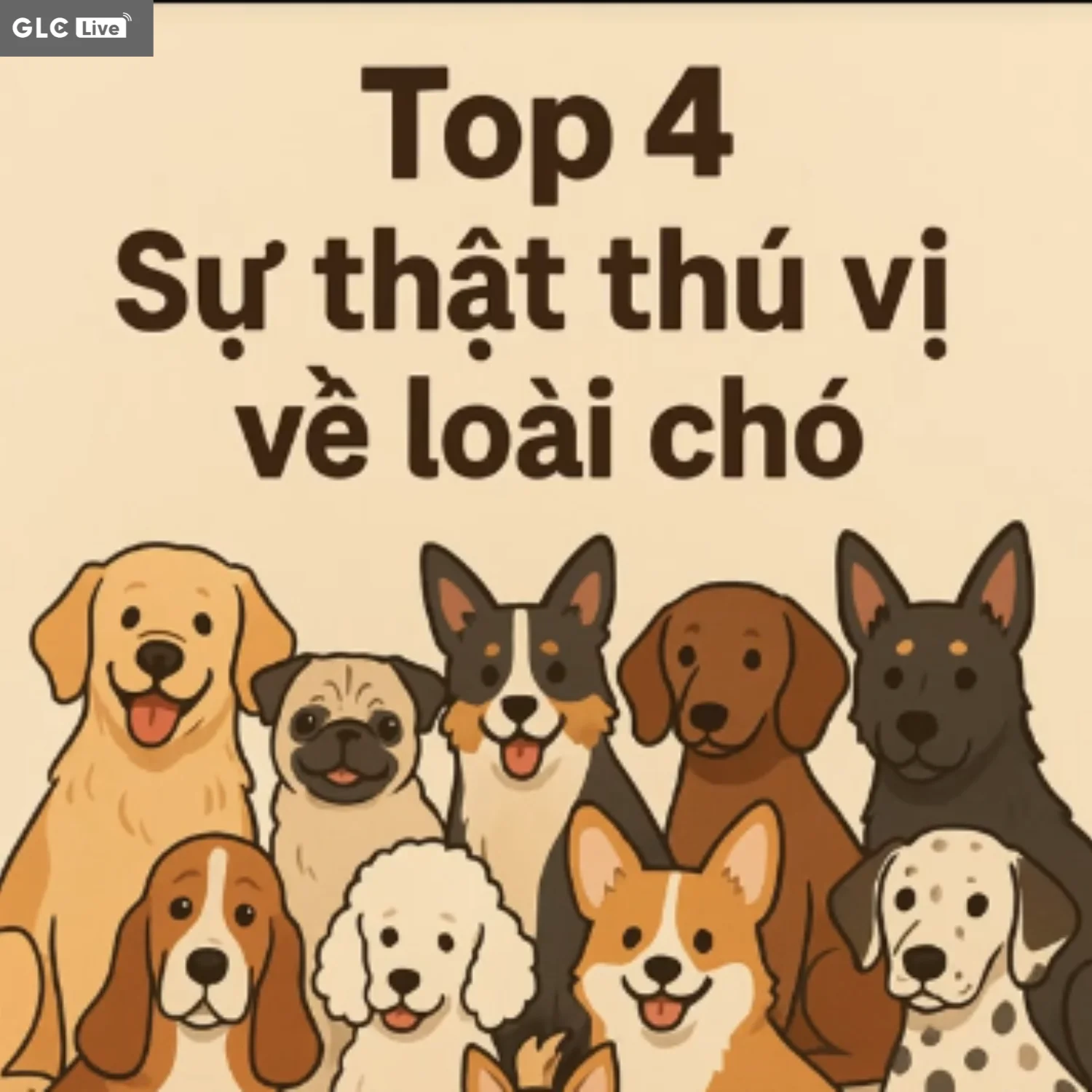 top các sự thật thú vị